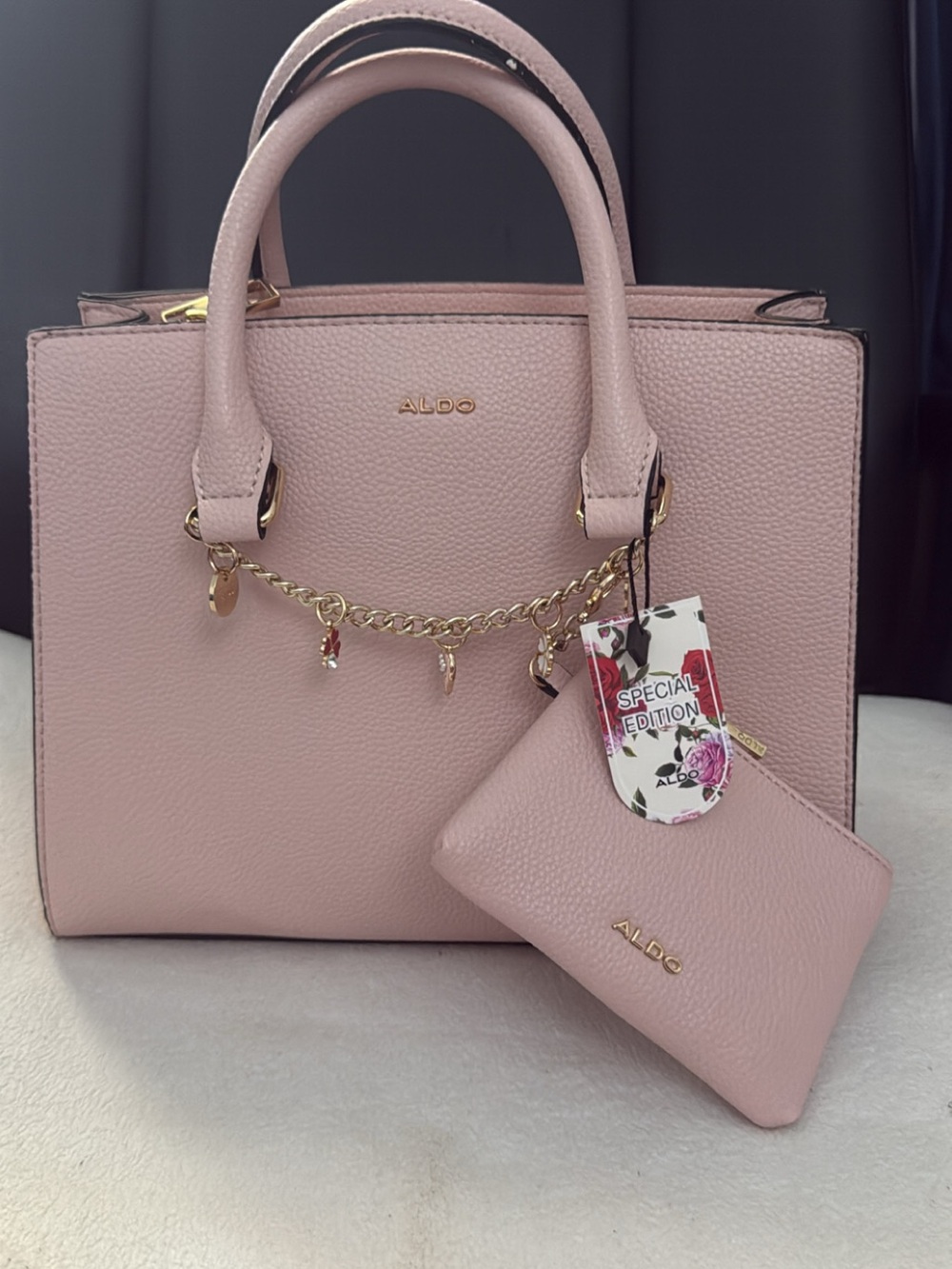 ALDO Pink Structured Satchel with Gold Charm and Pouch